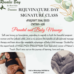 Prenatal and Baby Massage revised